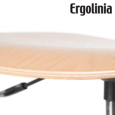 ergolinia 10004 industrial rotary chair plywood 3